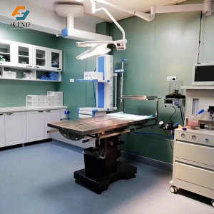 糖心视频免费观看